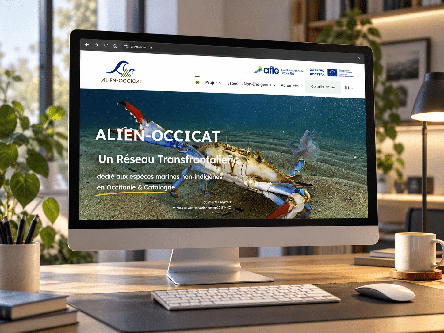 CNRS projet Alien-Occicat
